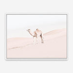 Shop Lone Camel Photo Canvas Print a Moroccan desert boho themed photography framed stretched canvas print from The Print Emporium wall artwork collection - Buy Australian made prints for the home and your interior decor space, TPE-828-CA-35X46-NF