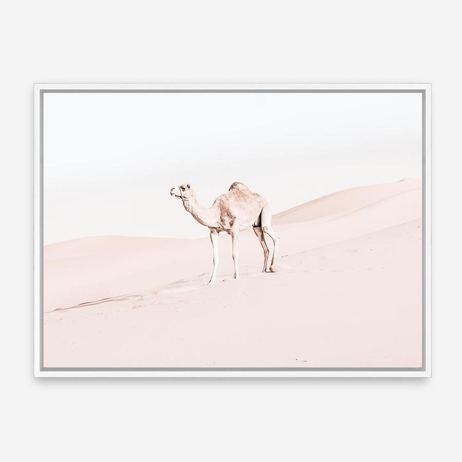 Shop Lone Camel Photo Canvas Print a Moroccan desert boho themed photography framed stretched canvas print from The Print Emporium wall artwork collection - Buy Australian made prints for the home and your interior decor space, TPE-828-CA-35X46-NF
