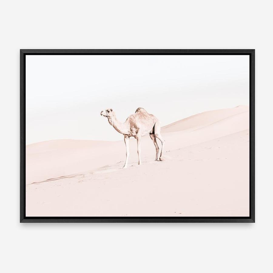 Shop Lone Camel Photo Canvas Print a Moroccan desert boho themed photography framed stretched canvas print from The Print Emporium wall artwork collection - Buy Australian made prints for the home and your interior decor space, TPE-828-CA-35X46-NF