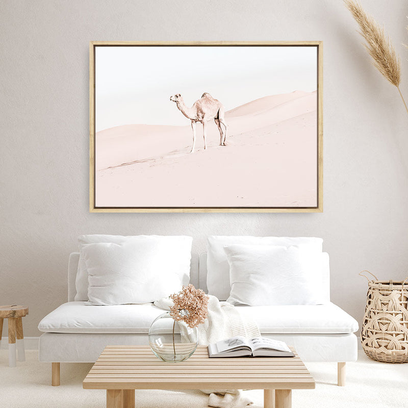 Shop Lone Camel Photo Canvas Print a Moroccan desert boho themed photography framed stretched canvas print from The Print Emporium wall artwork collection - Buy Australian made prints for the home and your interior decor space, TPE-828-CA-35X46-NF