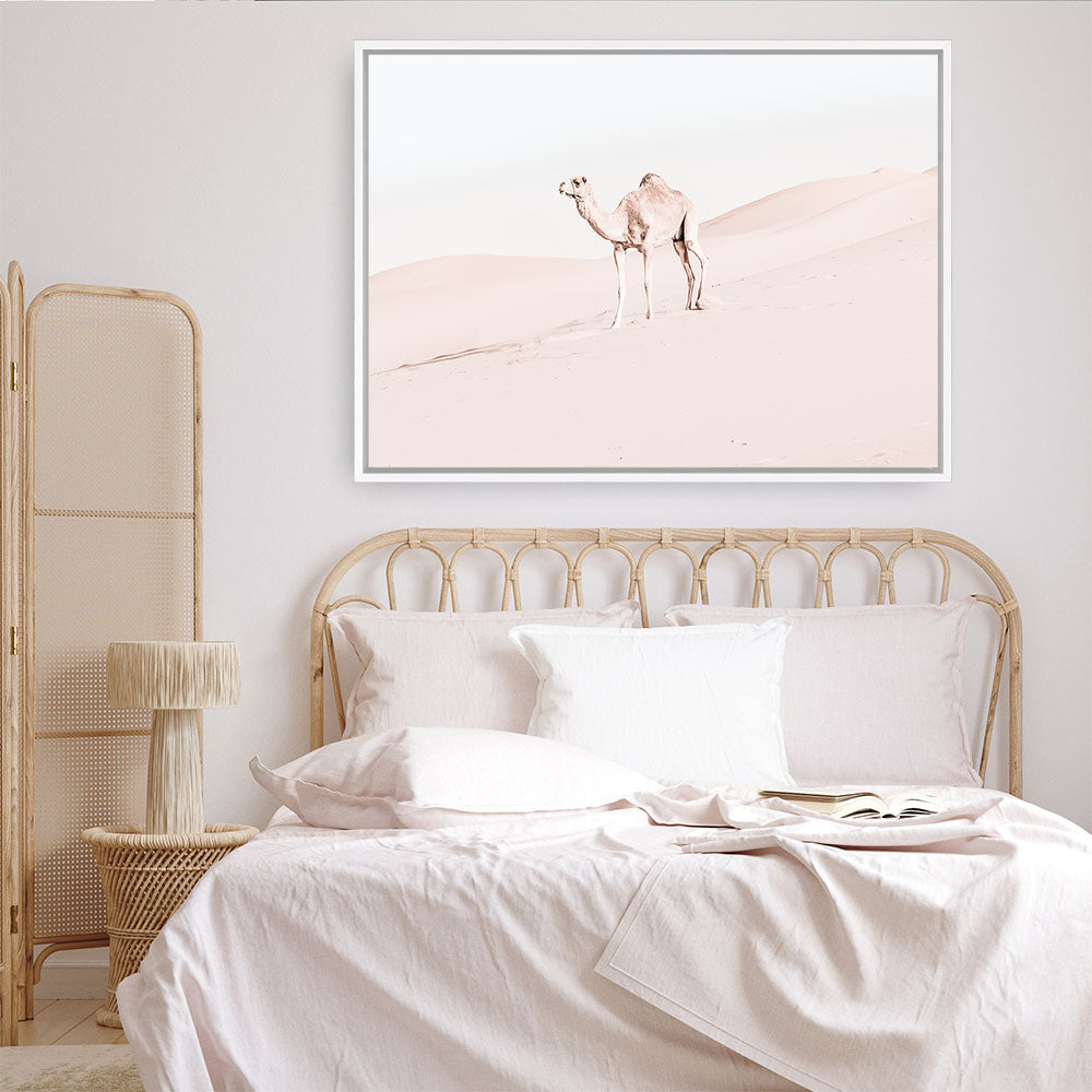 Shop Lone Camel Photo Canvas Print a Moroccan desert boho themed photography framed stretched canvas print from The Print Emporium wall artwork collection - Buy Australian made prints for the home and your interior decor space, TPE-828-CA-35X46-NF