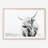 Shop Lone Highland Cow B&W Photo Art Print a photography wall art print from The Print Emporium wall artwork collection - Buy Australian made fine art poster and framed prints for the home and your interior decor room, TPE-536-AP