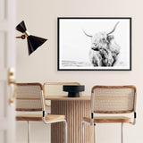 Shop Lone Highland Cow B&W Photo Art Print a photography wall art print from The Print Emporium wall artwork collection - Buy Australian made fine art poster and framed prints for the home and your interior decor room, TPE-536-AP