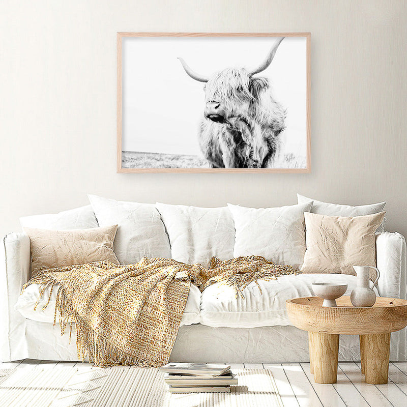 Shop Lone Highland Cow B&W Photo Art Print a photography wall art print from The Print Emporium wall artwork collection - Buy Australian made fine art poster and framed prints for the home and your interior decor room, TPE-536-AP