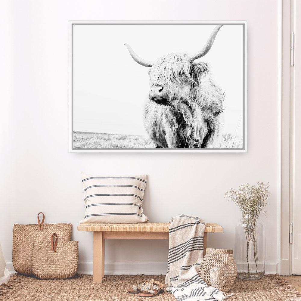 Shop Lone Highland Cow B&W Photo Canvas Print a photography framed stretched canvas print from The Print Emporium wall artwork collection - Buy Australian made prints for the home and your interior decor space, TPE-536-CA-35X46-NF