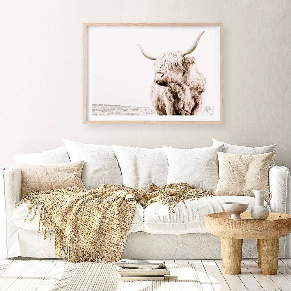 Shop Lone Highland Cow Photo Art Print a photography wall art print from The Print Emporium wall artwork collection - Buy Australian made fine art poster and framed prints for the home and your interior decor room, TPE-537-AP