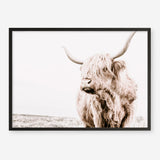 Shop Lone Highland Cow Photo Art Print a photography wall art print from The Print Emporium wall artwork collection - Buy Australian made fine art poster and framed prints for the home and your interior decor room, TPE-537-AP