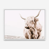 Shop Lone Highland Cow Photo Canvas Print a photography framed stretched canvas print from The Print Emporium wall artwork collection - Buy Australian made prints for the home and your interior decor space, TPE-537-CA-35X46-NF