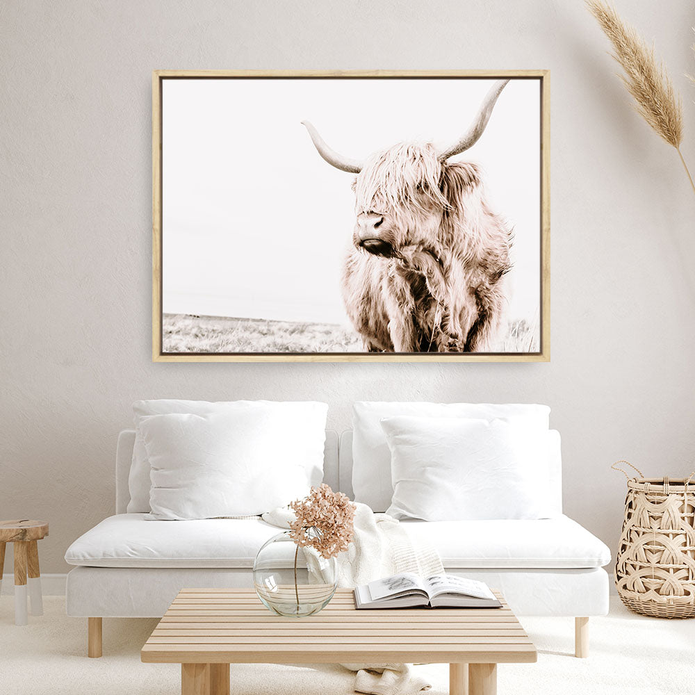 Shop Lone Highland Cow Photo Canvas Print a photography framed stretched canvas print from The Print Emporium wall artwork collection - Buy Australian made prints for the home and your interior decor space, TPE-537-CA-35X46-NF