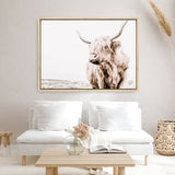 Shop Lone Highland Cow Photo Canvas Print a photography framed stretched canvas print from The Print Emporium wall artwork collection - Buy Australian made prints for the home and your interior decor space, TPE-537-CA-35X46-NF