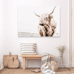 Shop Lone Highland Cow Photo Canvas Print a photography framed stretched canvas print from The Print Emporium wall artwork collection - Buy Australian made prints for the home and your interior decor space, TPE-537-CA-35X46-NF