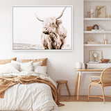 Shop Lone Highland Cow Photo Canvas Print a photography framed stretched canvas print from The Print Emporium wall artwork collection - Buy Australian made prints for the home and your interior decor space, TPE-537-CA-35X46-NF