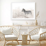 Shop Lone Zebra Photo Art Print a photography wall art print from The Print Emporium wall artwork collection - Buy Australian made fine art poster and framed prints for the home and your interior decor room, TPE-880-AP