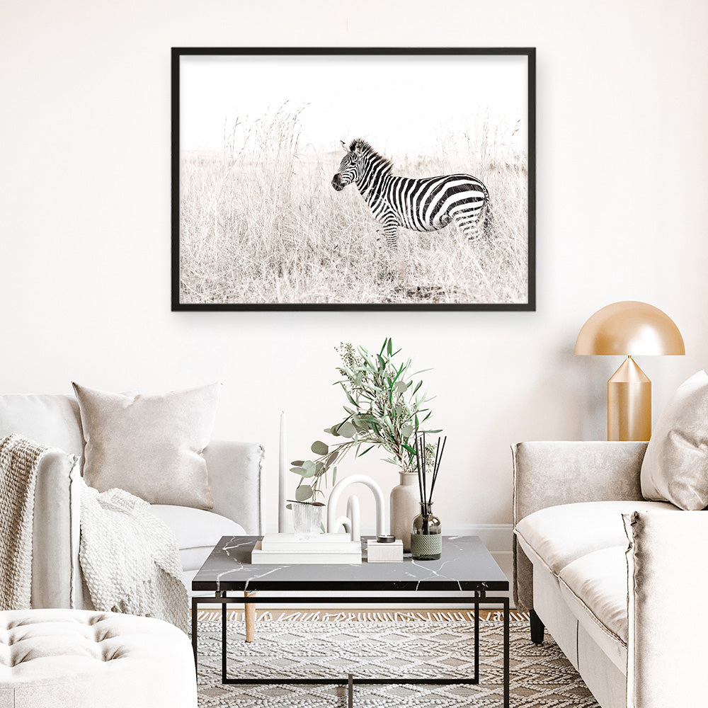 Shop Lone Zebra Photo Art Print a photography wall art print from The Print Emporium wall artwork collection - Buy Australian made fine art poster and framed prints for the home and your interior decor room, TPE-880-AP