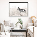 Shop Lone Zebra Photo Art Print a photography wall art print from The Print Emporium wall artwork collection - Buy Australian made fine art poster and framed prints for the home and your interior decor room, TPE-880-AP