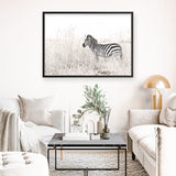 Shop Lone Zebra Photo Art Print a photography wall art print from The Print Emporium wall artwork collection - Buy Australian made fine art poster and framed prints for the home and your interior decor room, TPE-880-AP