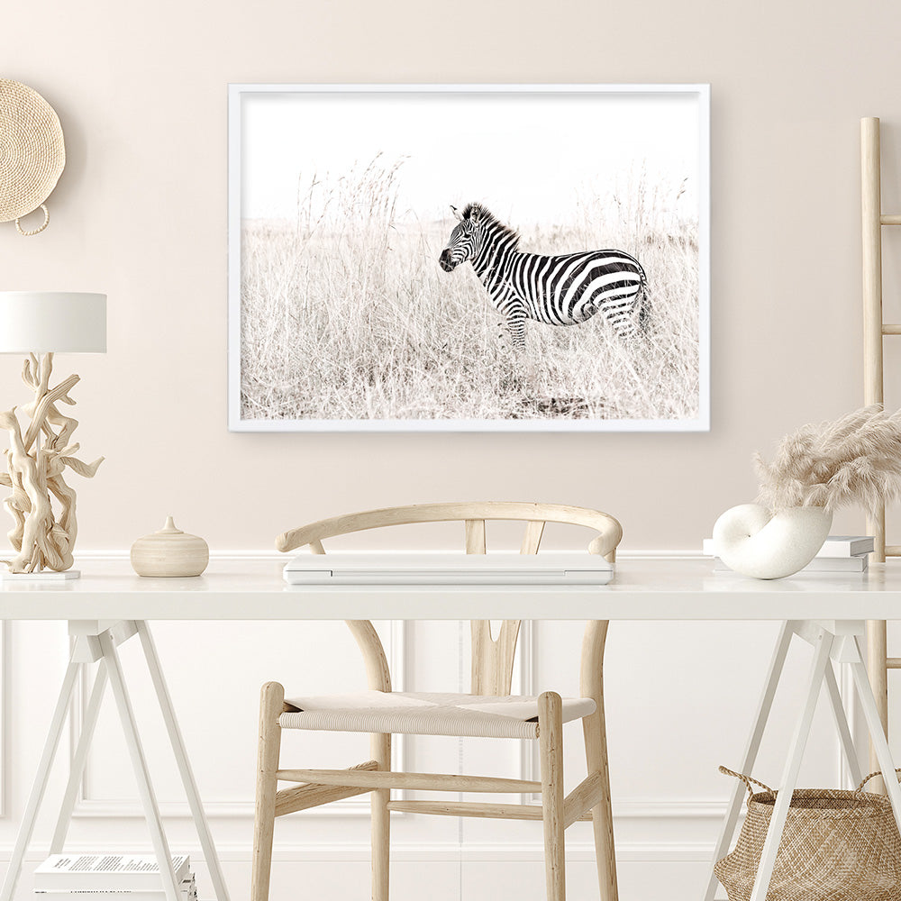 Shop Lone Zebra Photo Art Print a photography wall art print from The Print Emporium wall artwork collection - Buy Australian made fine art poster and framed prints for the home and your interior decor room, TPE-880-AP