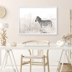 Shop Lone Zebra Photo Art Print a photography wall art print from The Print Emporium wall artwork collection - Buy Australian made fine art poster and framed prints for the home and your interior decor room, TPE-880-AP
