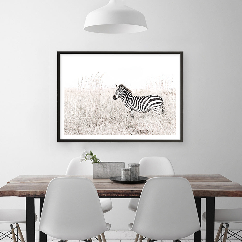 Shop Lone Zebra Photo Art Print a photography wall art print from The Print Emporium wall artwork collection - Buy Australian made fine art poster and framed prints for the home and your interior decor room, TPE-880-AP