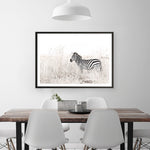 Shop Lone Zebra Photo Art Print a photography wall art print from The Print Emporium wall artwork collection - Buy Australian made fine art poster and framed prints for the home and your interior decor room, TPE-880-AP