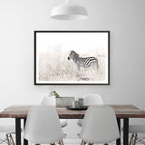 Shop Lone Zebra Photo Art Print a photography wall art print from The Print Emporium wall artwork collection - Buy Australian made fine art poster and framed prints for the home and your interior decor room, TPE-880-AP