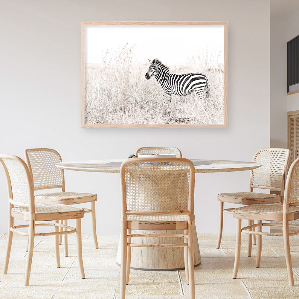 Shop Lone Zebra Photo Art Print a photography wall art print from The Print Emporium wall artwork collection - Buy Australian made fine art poster and framed prints for the home and your interior decor room, TPE-880-AP