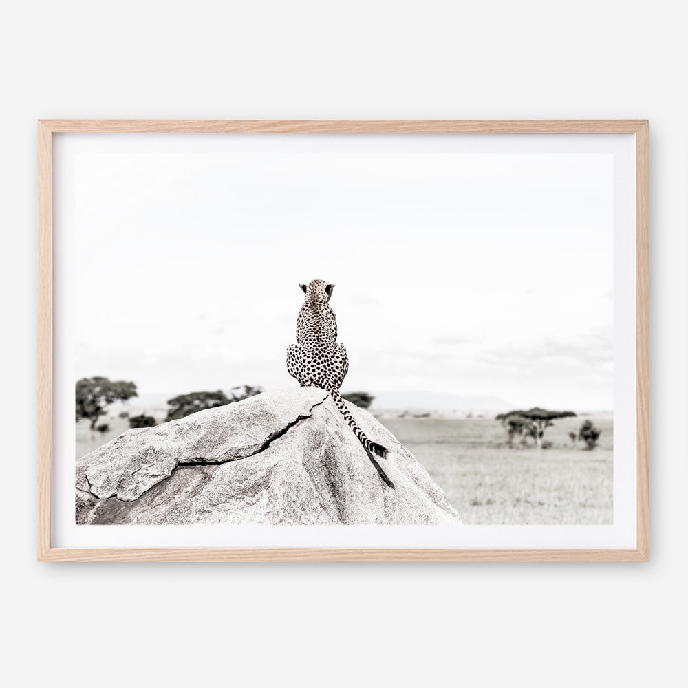 Shop Lookout Point Photo Art Print a photography wall art print from The Print Emporium wall artwork collection - Buy Australian made fine art poster and framed prints for the home and your interior decor room, TPE-878-AP