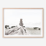 Shop Lookout Point Photo Art Print a photography wall art print from The Print Emporium wall artwork collection - Buy Australian made fine art poster and framed prints for the home and your interior decor room, TPE-878-AP