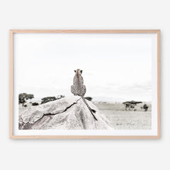 Shop Lookout Point Photo Art Print a photography wall art print from The Print Emporium wall artwork collection - Buy Australian made fine art poster and framed prints for the home and your interior decor room, TPE-878-AP