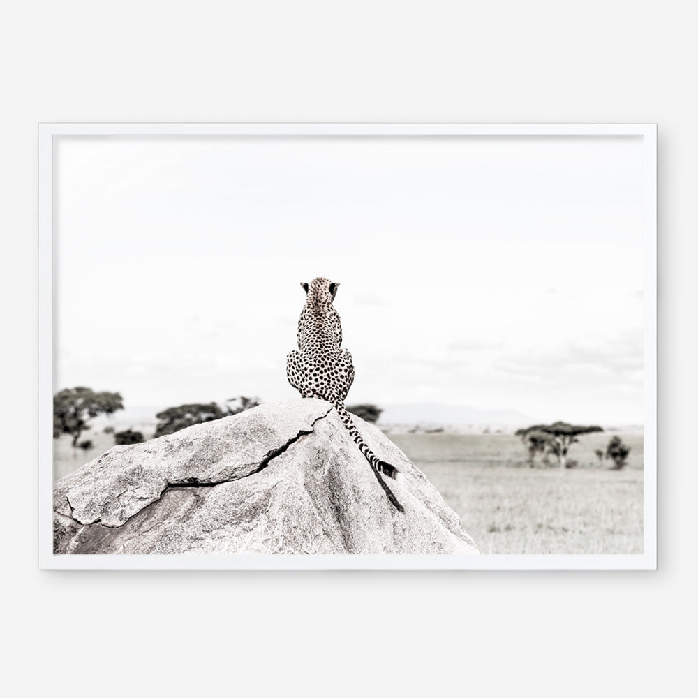 Shop Lookout Point Photo Art Print a photography wall art print from The Print Emporium wall artwork collection - Buy Australian made fine art poster and framed prints for the home and your interior decor room, TPE-878-AP