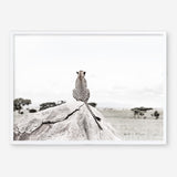 Shop Lookout Point Photo Art Print a photography wall art print from The Print Emporium wall artwork collection - Buy Australian made fine art poster and framed prints for the home and your interior decor room, TPE-878-AP