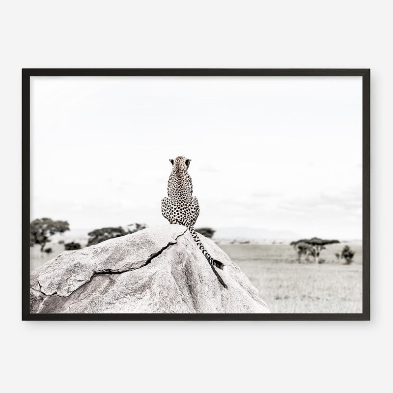 Shop Lookout Point Photo Art Print a photography wall art print from The Print Emporium wall artwork collection - Buy Australian made fine art poster and framed prints for the home and your interior decor room, TPE-878-AP