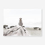 Shop Lookout Point Photo Art Print a photography wall art print from The Print Emporium wall artwork collection - Buy Australian made fine art poster and framed prints for the home and your interior decor room, TPE-878-AP