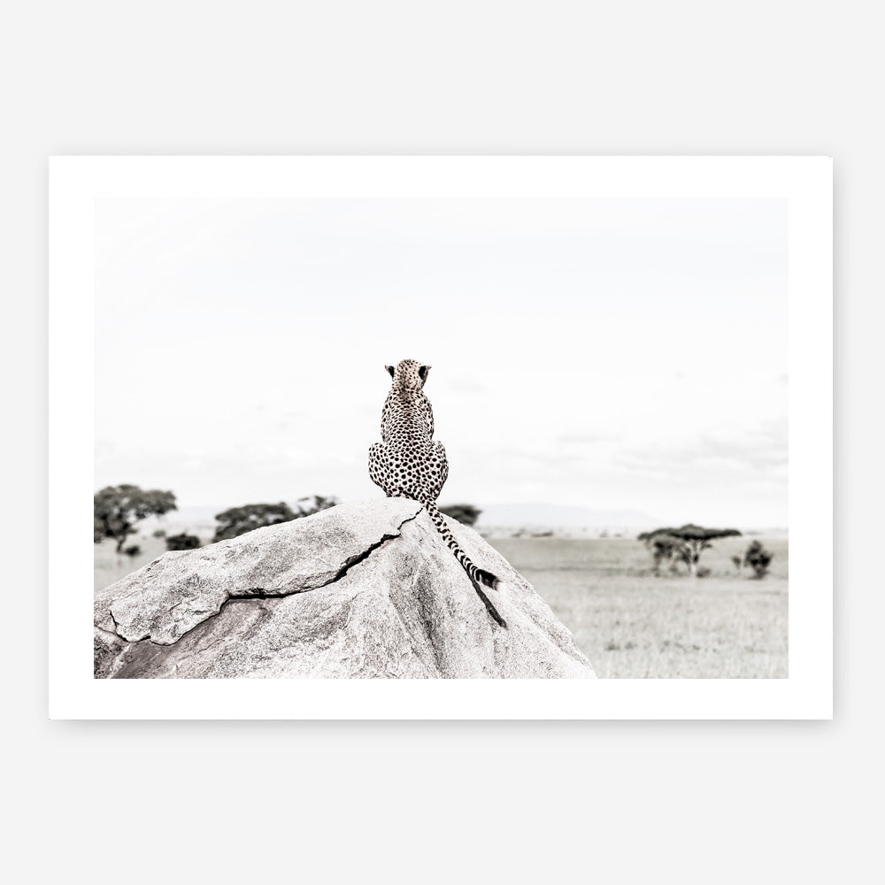 Shop Lookout Point Photo Art Print a photography wall art print from The Print Emporium wall artwork collection - Buy Australian made fine art poster and framed prints for the home and your interior decor room, TPE-878-AP