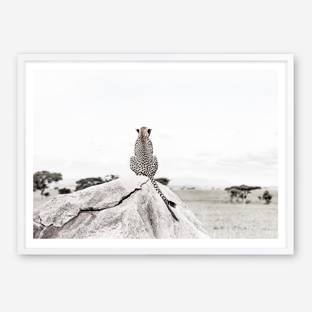 Shop Lookout Point Photo Art Print a photography wall art print from The Print Emporium wall artwork collection - Buy Australian made fine art poster and framed prints for the home and your interior decor room, TPE-878-AP