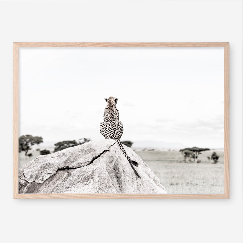Shop Lookout Point Photo Art Print a photography wall art print from The Print Emporium wall artwork collection - Buy Australian made fine art poster and framed prints for the home and your interior decor room, TPE-878-AP