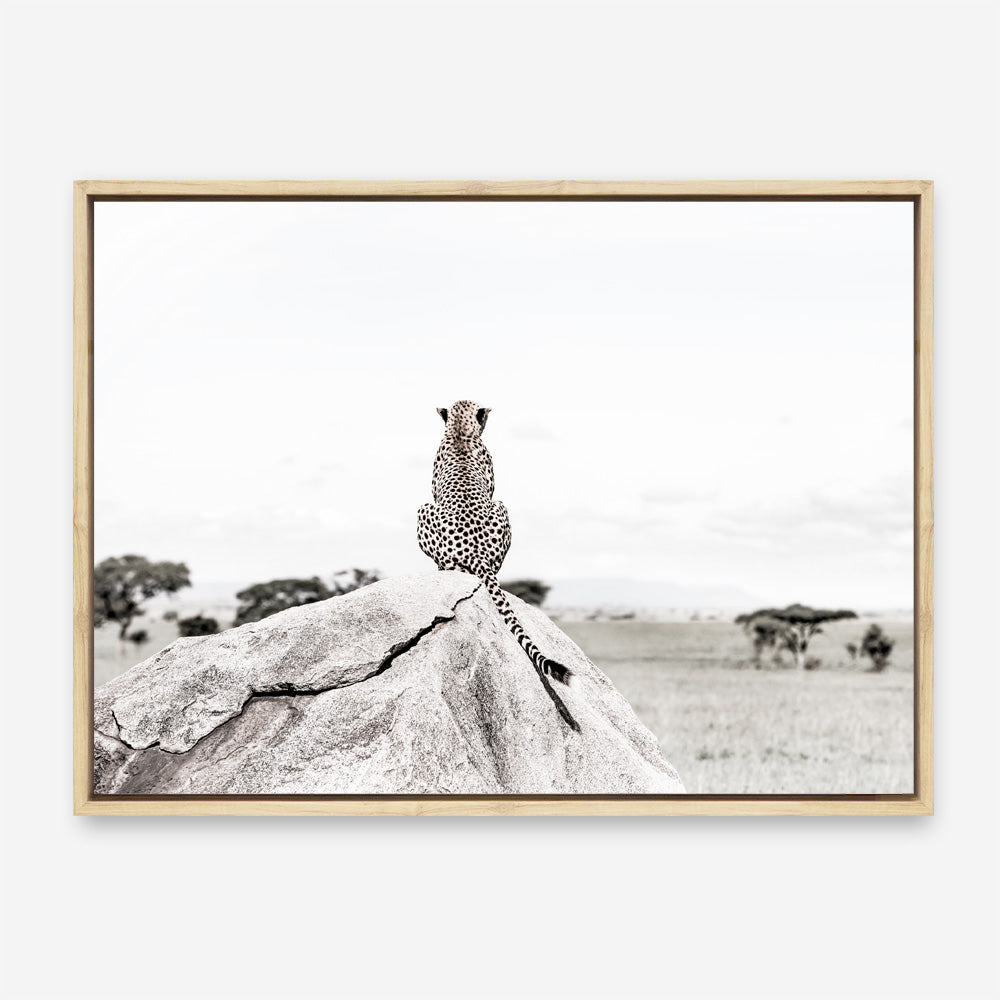 Shop Lookout Point Photo Canvas Print a photography framed stretched canvas print from The Print Emporium wall artwork collection - Buy Australian made prints for the home and your interior decor space, TPE-878-CA-35X46-NF