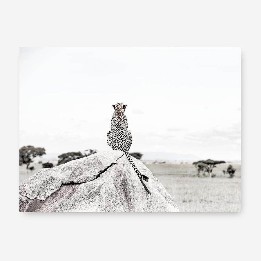 Shop Lookout Point Photo Canvas Print a photography framed stretched canvas print from The Print Emporium wall artwork collection - Buy Australian made prints for the home and your interior decor space, TPE-878-CA-35X46-NF