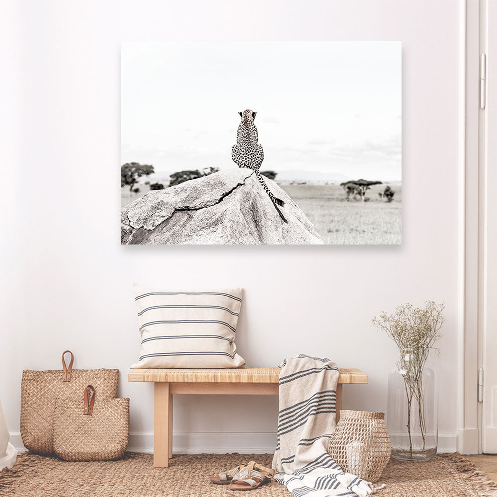 Shop Lookout Point Photo Canvas Print a photography framed stretched canvas print from The Print Emporium wall artwork collection - Buy Australian made prints for the home and your interior decor space, TPE-878-CA-35X46-NF