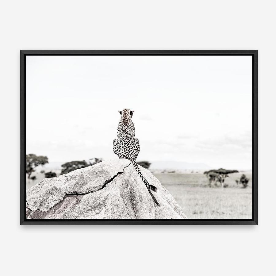 Shop Lookout Point Photo Canvas Print a photography framed stretched canvas print from The Print Emporium wall artwork collection - Buy Australian made prints for the home and your interior decor space, TPE-878-CA-35X46-NF