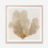 Shop Luxe Coral I (Square) Art Print a painted abstract themed wall art print from The Print Emporium wall artwork collection - Buy Australian made fine art painting style poster and framed prints for the home and your interior decor room, TPE-PC-WLR16-AP