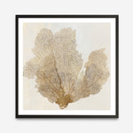 Shop Luxe Coral I (Square) Art Print a painted abstract themed wall art print from The Print Emporium wall artwork collection - Buy Australian made fine art painting style poster and framed prints for the home and your interior decor room, TPE-PC-WLR16-AP