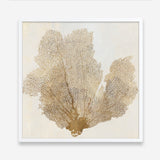 Shop Luxe Coral I (Square) Art Print a painted abstract themed wall art print from The Print Emporium wall artwork collection - Buy Australian made fine art painting style poster and framed prints for the home and your interior decor room, TPE-PC-WLR16-AP