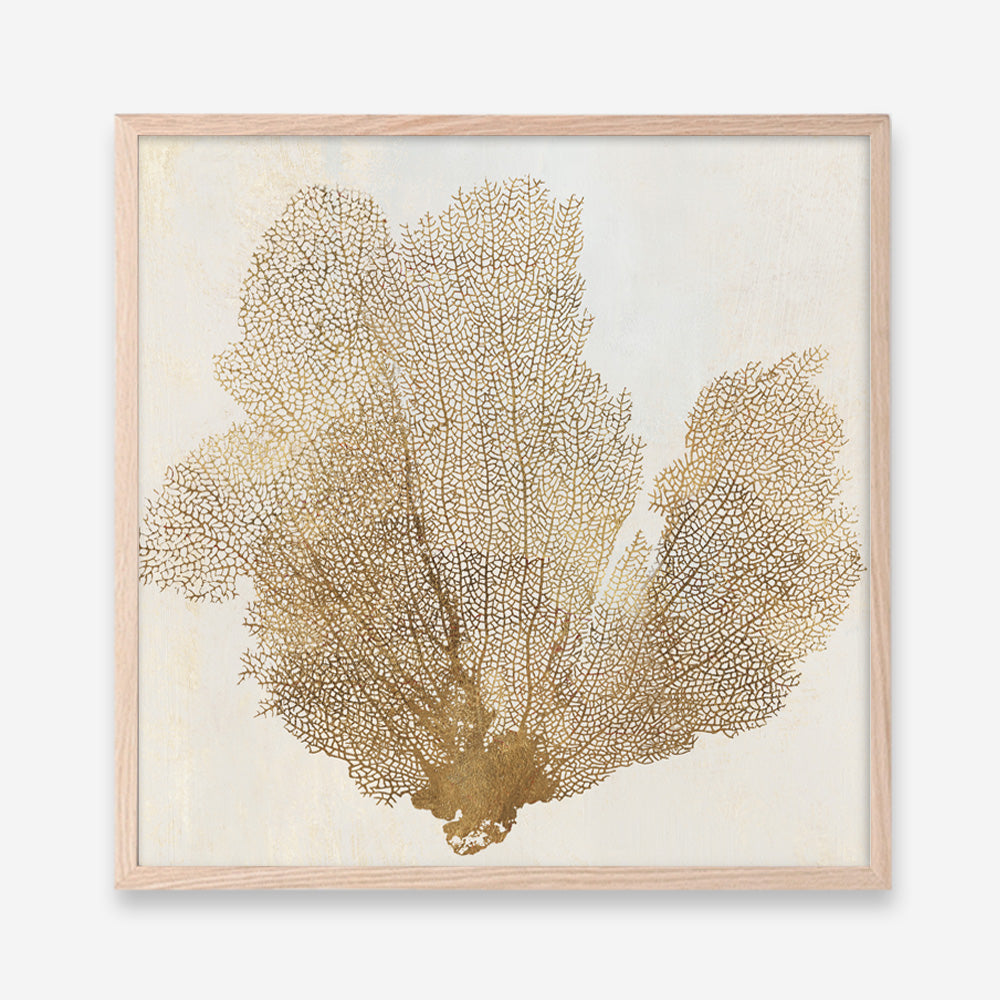 Shop Luxe Coral I (Square) Art Print a painted abstract themed wall art print from The Print Emporium wall artwork collection - Buy Australian made fine art painting style poster and framed prints for the home and your interior decor room, TPE-PC-WLR16-AP