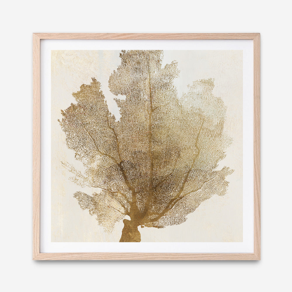 Shop Luxe Coral II (Square) Art Print a painted abstract themed wall art print from The Print Emporium wall artwork collection - Buy Australian made fine art painting style poster and framed prints for the home and your interior decor room, TPE-PC-WLR17-AP