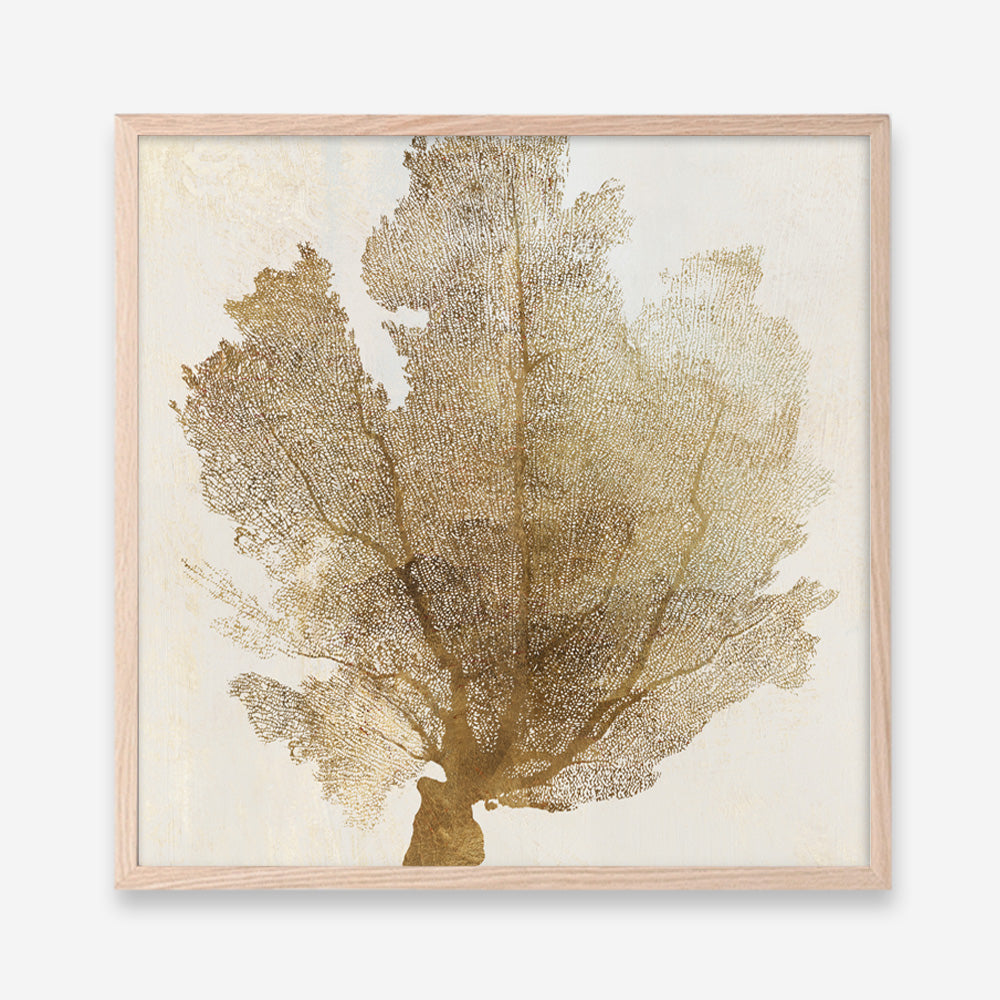 Shop Luxe Coral II (Square) Art Print a painted abstract themed wall art print from The Print Emporium wall artwork collection - Buy Australian made fine art painting style poster and framed prints for the home and your interior decor room, TPE-PC-WLR17-AP