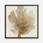 Shop Luxe Coral II (Square) Art Print a painted abstract themed wall art print from The Print Emporium wall artwork collection - Buy Australian made fine art painting style poster and framed prints for the home and your interior decor room, TPE-PC-WLR17-AP