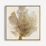 Shop Luxe Coral II (Square) Canvas Print a painted abstract themed framed canvas wall art print from The Print Emporium artwork collection - Buy Australian made fine art painting style stretched canvas prints for the home and your interior decor space, TPE-PC-WLR17-CA-40X40-NF