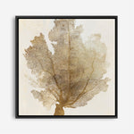 Shop Luxe Coral II (Square) Canvas Print a painted abstract themed framed canvas wall art print from The Print Emporium artwork collection - Buy Australian made fine art painting style stretched canvas prints for the home and your interior decor space, TPE-PC-WLR17-CA-40X40-NF