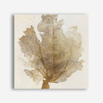 Shop Luxe Coral II (Square) Canvas Print a painted abstract themed framed canvas wall art print from The Print Emporium artwork collection - Buy Australian made fine art painting style stretched canvas prints for the home and your interior decor space, TPE-PC-WLR17-CA-40X40-NF